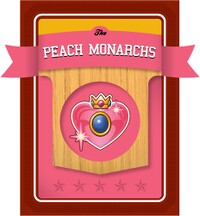 Level3 Peach Front.jpg