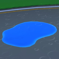 MKT puddle on track.png