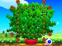 MPIT Shrub Hubbub quadrilateral1.jpg