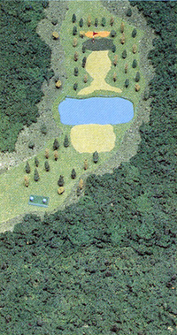 Golf JC Hole 11 art.png