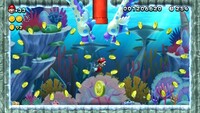 NSMBU 3-5 Coin 3.jpg