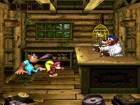 NM DKC3 Brothers Bear.jpg