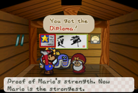 Toad Town (Diploma).png