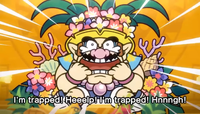 TropicalWarioWWMI.png