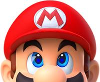 My Nintendo Mario's Head.png