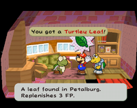 Petalburg (Kroop Turtley Leaf).png
