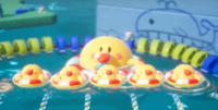 FiveBeachBurts.png