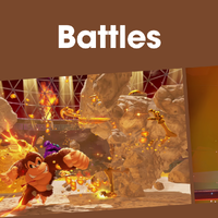 NM DKB Battles PL.png
