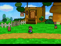 NM PM Goomba Village Theme.png