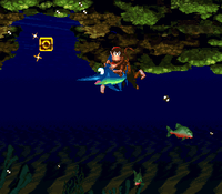 ClamCityLetterO.png