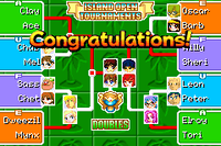 MarioTennisGBAIslandOpenDoublesBracketFinal.png