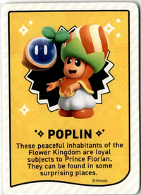 SMBW TC Poplin back.png
