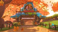 MK8DMapleTreeway5.jpg