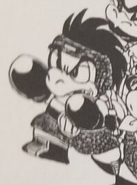 SMB Monogatari Ippa.jpg
