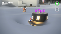 SMO Cap Coins N.png