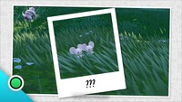 BAB ep3 image 3.jpg