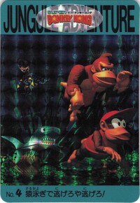 DKC Card 4.jpg