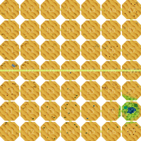Dry dry desert map.png
