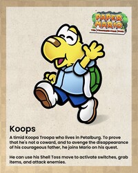 Koops Instagram.jpg