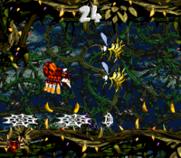 Web Woods Bonus Area 1.png