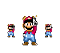 SFAC Flipping Image Test.png