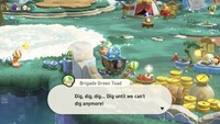 SMBWNS2E Screenshot Brigade Green Toad.jpg