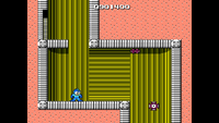 SWMegaManGuide205-112.png
