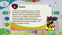 ShadowDescription.png