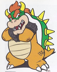 Bowser Perfect.png
