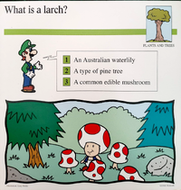 Larch quiz card.png