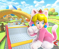 MKT Icon ToadCircuitT3DS CatPeach.png