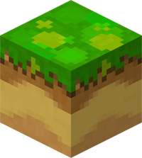 Minecraft Mario Mash-Up Podzol Render.png