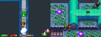 Peach's Castle Cellar Block 22.png