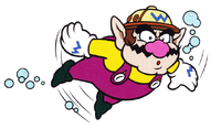 BubblesWario CharacterManual.png