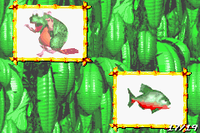 DKC Scrapbook Page17.png