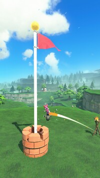MKWorld GoalPole.jpg