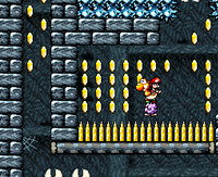 MuddyBuddy.png