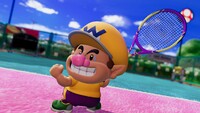 MTF Baby Wario Intro.jpg