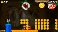 NSMB2 W5-6 2nd Star Coin.png