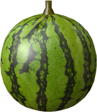 Watermelon (DKJB).png