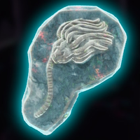 DKB Fossil Sea Lily Alt.png