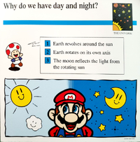 Day and night quiz card.png