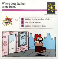 Leather quiz card.png