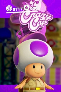 Mailtoad SMO.jpg