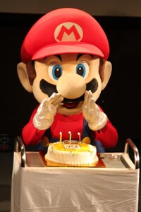 SM30S Mario Photo.jpg
