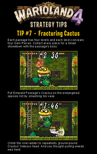 Wario tip 7.gif