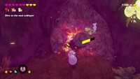 DKB Nested inside the Roots.jpg