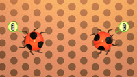 NM WWMI Dont Get Spotted.png