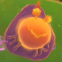 DKB acid Muckoid.jpg