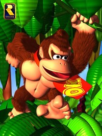 Donkey64Promo.jpg